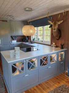 a kitchen with a counter with a deer head on the wall at Solhytta Fantastisk beliggenhet! Hytte til leie på Skrim! in Kongsberg