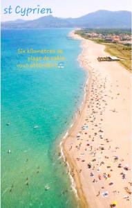 Une plage avec un tas de gens dans l'eau dans l'établissement bord de Mer et pieds dans l'eau, à Saint-Cyprien