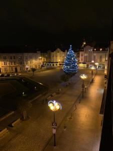 Fotografie z fotogalerie ubytování Wine apartments Hradec centre v destinaci Hradec Králové