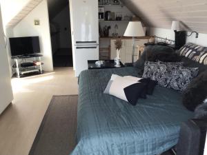 a living room with a bed and a tv at Vejlen Bed & Kitchen in Vadum