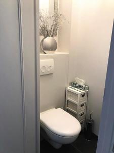 a small bathroom with a toilet and a mirror at ENTRE TERRE ET MER in Blonville-sur-Mer