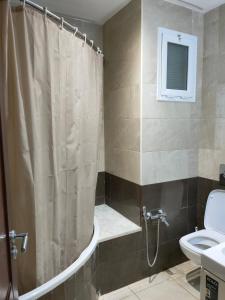 uma casa de banho com um chuveiro, um WC e um lavatório. em Appartement Lac 2 em Berges Du Lac