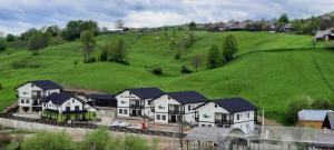 eine große Gruppe von Häusern auf einem grünen Hügel in der Unterkunft Sat de Vacanta Martisorul Cacica in Suceava