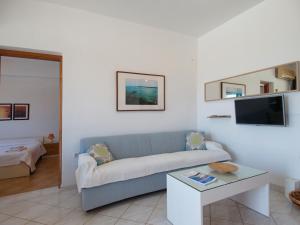 TV a/nebo společenská místnost v ubytování Rouladina Apartments