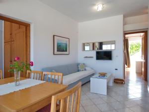TV a/nebo společenská místnost v ubytování Rouladina Apartments