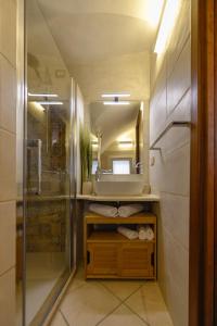 阿尔盖罗POMA DE CASA - Carrerò del Carmen的配有水槽、淋浴和镜子的浴室