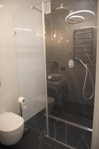 een badkamer met een douche, een toilet en een wastafel bij Atmosfera Apartament 3 in Bytów