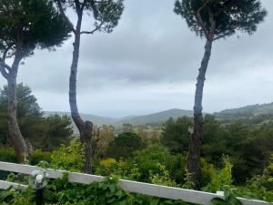 a view from the porch of a house with trees at Casa Jonorunn in Nibbiaia