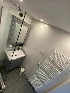 ein Bad mit einer Dusche, einem Waschbecken und einem Spiegel in der Unterkunft Haus am Sonnenberg,Todtnauberg, Ferienwohnung 305, direkt am Skilift-Skipiste, Nähe Feldberg in Todtnauberg