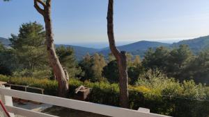 a view of a hill with trees and mountains at Casa Jonorunn in Nibbiaia
