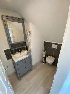 ein Badezimmer mit einem Waschbecken, einem WC und einem Spiegel in der Unterkunft Haus am Sonnenberg,Todtnauberg, Ferienwohnung 305, direkt am Skilift-Skipiste, Nähe Feldberg in Todtnauberg