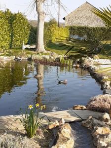 Un estanque en un jardín con un pato. en LA BONNE ADRESSE, en La Neuville en Chaillois