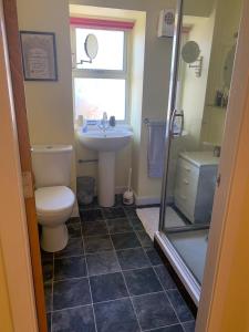 a bathroom with a toilet and a sink and a shower at Abbey Cottage, Findhorn in Findhorn