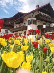 a field of red and yellow tulips in front of a building at Chalet Sonneck in Seefeld in Tirol