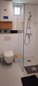 Kúpeľňa v ubytovaní Haus Wegleitner + 9 fotografií