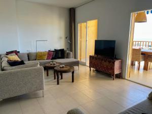 a living room with a couch and a tv at Baupres 2-3 in Alicante