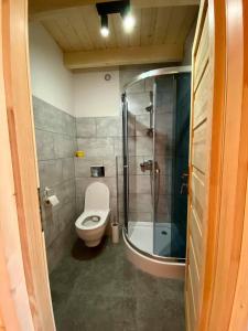 a bathroom with a toilet and a glass shower at Na starej drodze in Ciche
