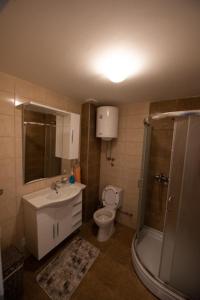 y baño con aseo, lavabo y ducha. en Apartman Stefix en Banja Koviljača