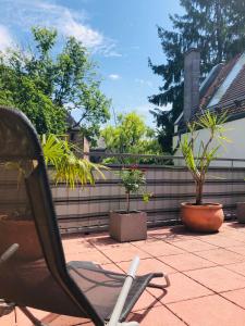 Ein Garten an der Unterkunft Altstadt Hotel Glockenhof