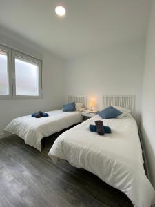 Легло или легла в стая в Design Club Santander