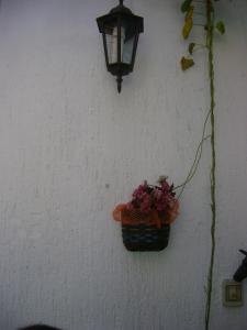 Fotografie z fotogalerie ubytování Guest House Marijana v Dubrovníku