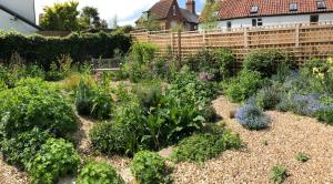 um jardim com muitos tipos diferentes de plantas em Plumtree Cottage em Cotgrave