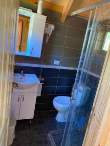een badkamer met toilet, wastafel en douche bij 5 Stinet in Koman