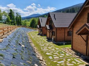 Príroda v okolí horskej chaty