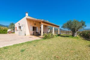 Príroda v okolí of the country house