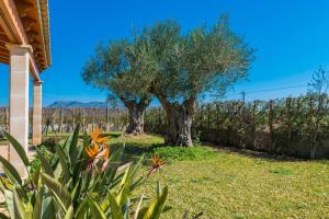 Vonkajšia záhrada v ubytovaní YourHouse Son Gallina quiet, private villa in the north of Mallorca
