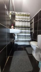 a bathroom with a sink and a toilet at Ліза in Slavske