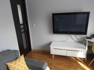 salon z telewizorem z płaskim ekranem na ścianie w obiekcie RYNECZEK w mieście Przemyśl +3 zdjęcia
