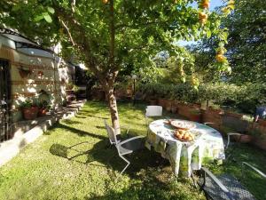 une table et des chaises sous un arbre dans une cour dans l'établissement Fior di Loto, à Ancône