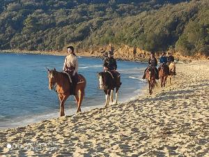 Horseback riding at Az apartmant or nearby