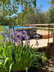 a garden with purple flowers and a swimming pool at Escale en Revermont in Saint-Lothain