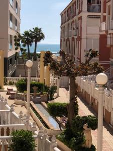 un árbol en medio de una calle con edificios en Beach Dream Apartment, en La Mata