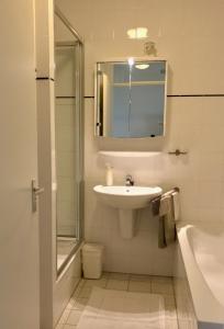 ein Bad mit einem Waschbecken, einer Dusche und einem Spiegel in der Unterkunft Hello Zeeland - Appartement Port Scaldis 19-012 in Breskens