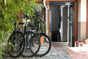 Jízda na kole v ubytování Oliva Hotel nebo okolí