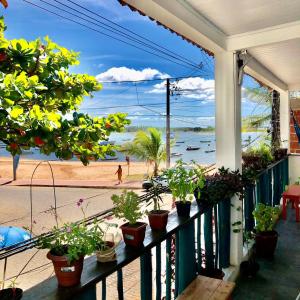 een balkon met planten en uitzicht op een strand bij Maré Mansa Pousada e Hostel in Itacaré