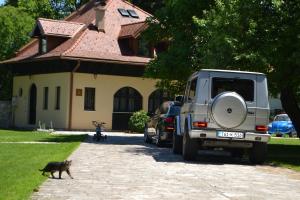 a cat walking next to a truck in front of a house at Čenga Resort in Sarajevo