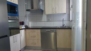 a small kitchen with a sink and a dishwasher at GS ALCÁZAR in Talavera de la Reina