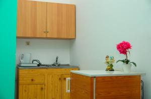 Een keuken of kitchenette bij Ampelaki Studios