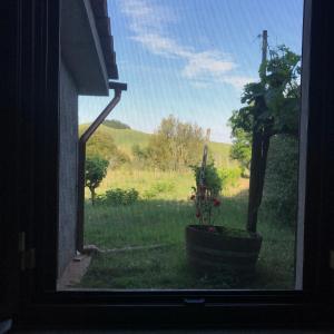 una ventana con vistas a un campo de césped en il canto del gallo en Murlo