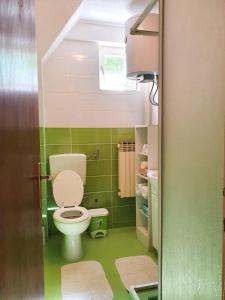 a small bathroom with a toilet and green walls at Spago Apartment in Konjic