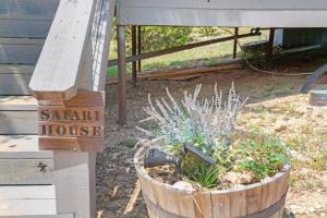 Gallery image of Arbor House of Dripping Springs - Safari House in Dripping Springs