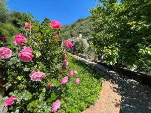 A garden outside Il frantoio di Luna - Levanto, 5 Terre