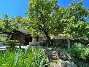 A garden outside Il frantoio di Luna - Levanto, 5 Terre