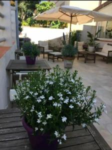 Zahrada ubytování hotel lisà