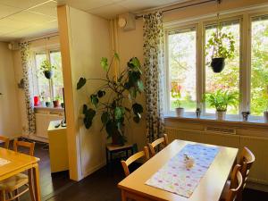 Aed väljaspool majutusasutust Solakoop B&B