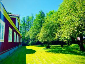 Aed väljaspool majutusasutust Solakoop B&B